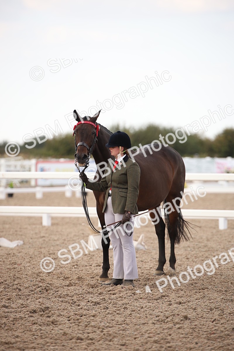 SBM_08247 - Class 27 - IH Competition Horse-Pony
