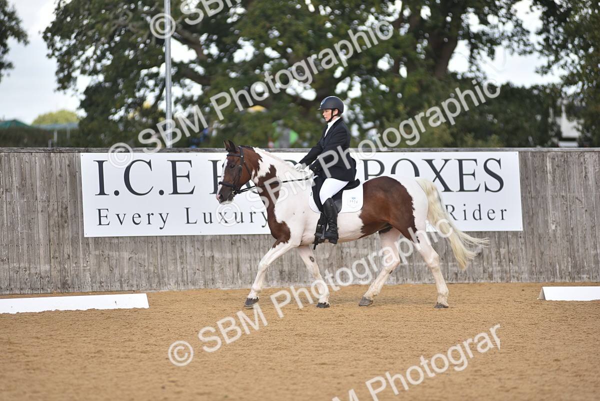 SBM_03179 - D4 - Small Tour Championship Intro 4