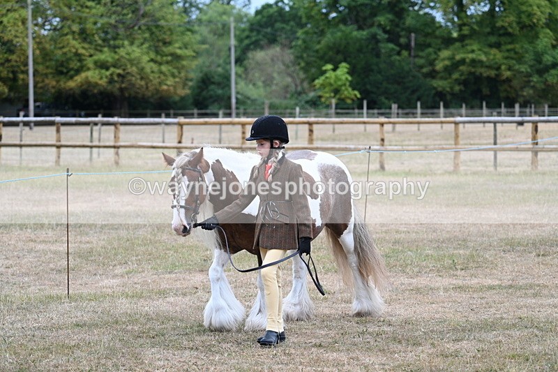 WJ7_8012 - Class 4 Prettiest Mare up to 14.2hh