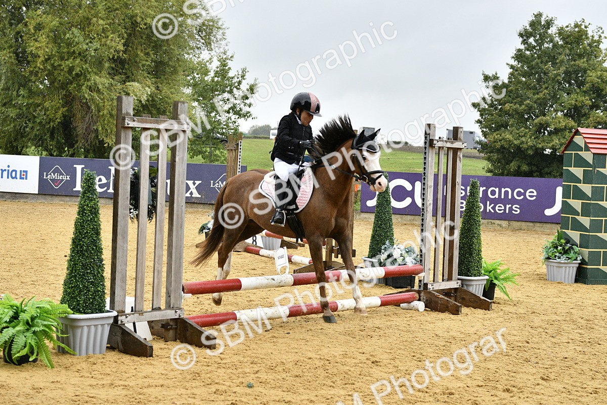 SBM_70806 - J3 - Mini Tour Junior Pony 40cm championship