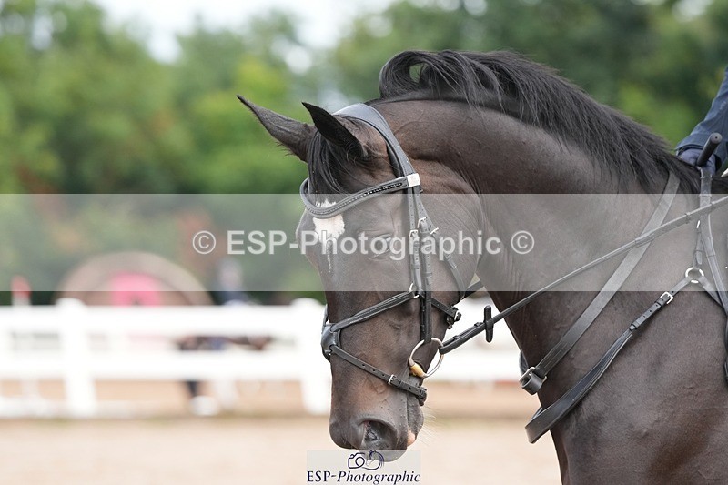 250731-102141-01354 - Cls 08  85cm Nat Am Qual