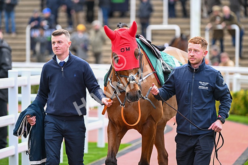 171124-Race 3-Paddock-Gunsight Ridge-3052 - Race 3