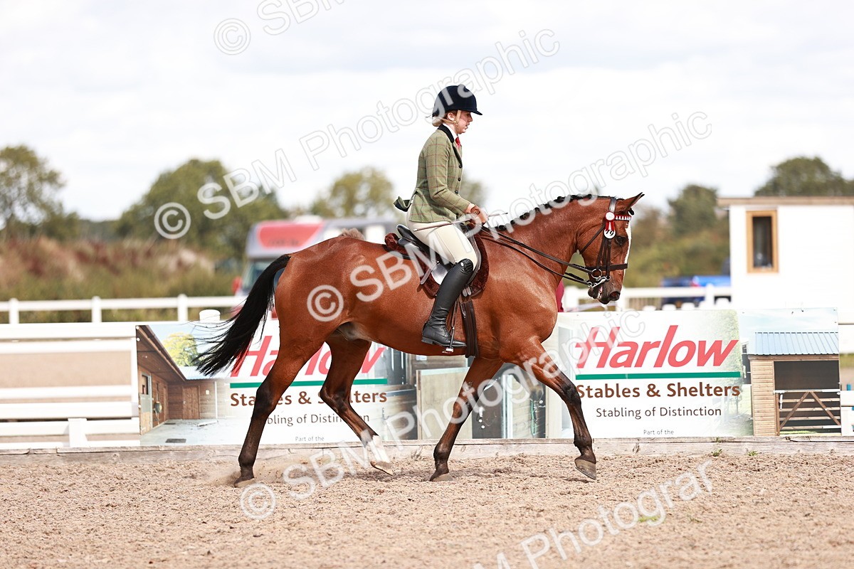 SBM_14474 - Class 410 - Grassroots Ridden - Horse