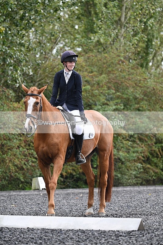 WJ7_6814 - Time 14:49 to 15:14