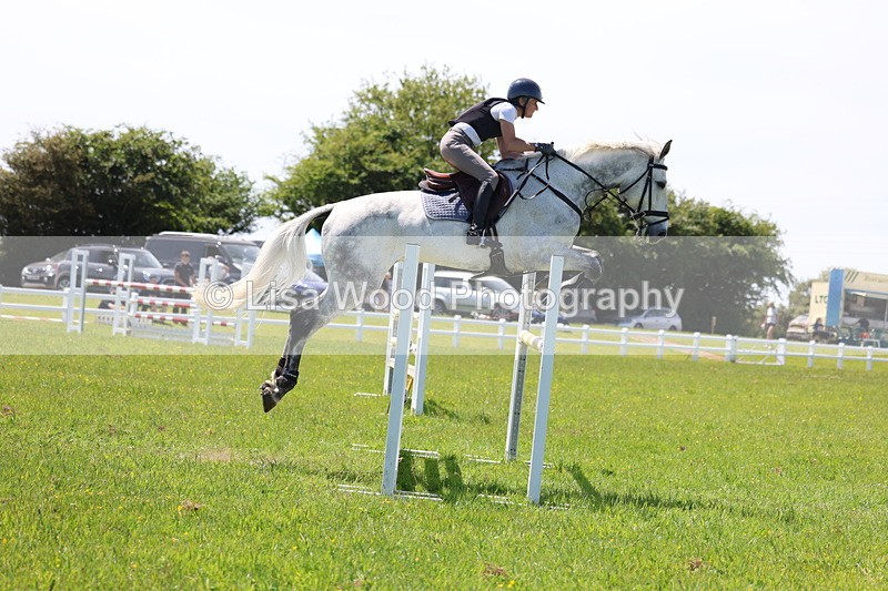 3E7A1244 - Class 12: Senior Foxhunter/1.20 open