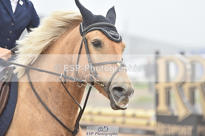 230902A-104708-00450 - Cls 2A Pony Small 70cm