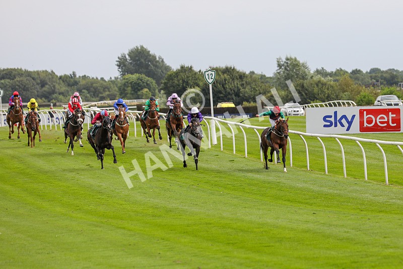 240724-Race 2-Chuti Manika-3293 - Race 2