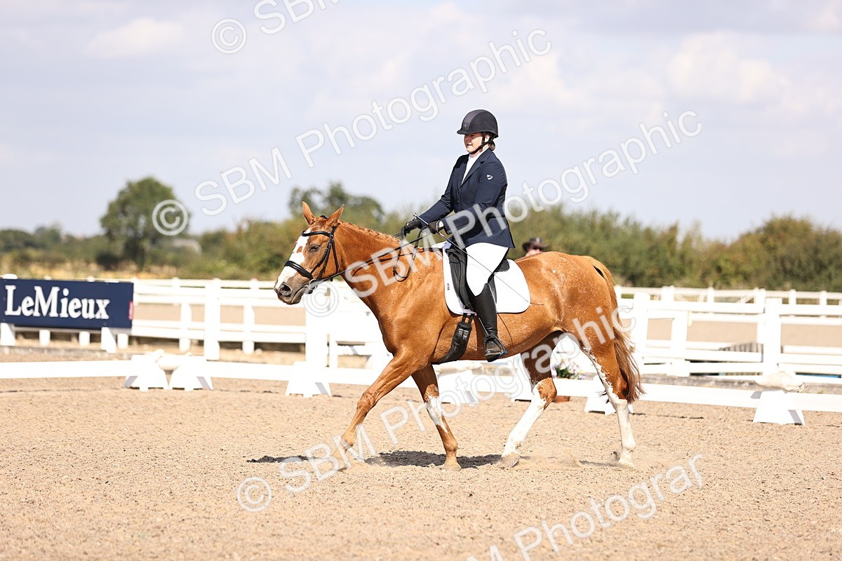 SBM_03553 - CLass 35 Intro 3