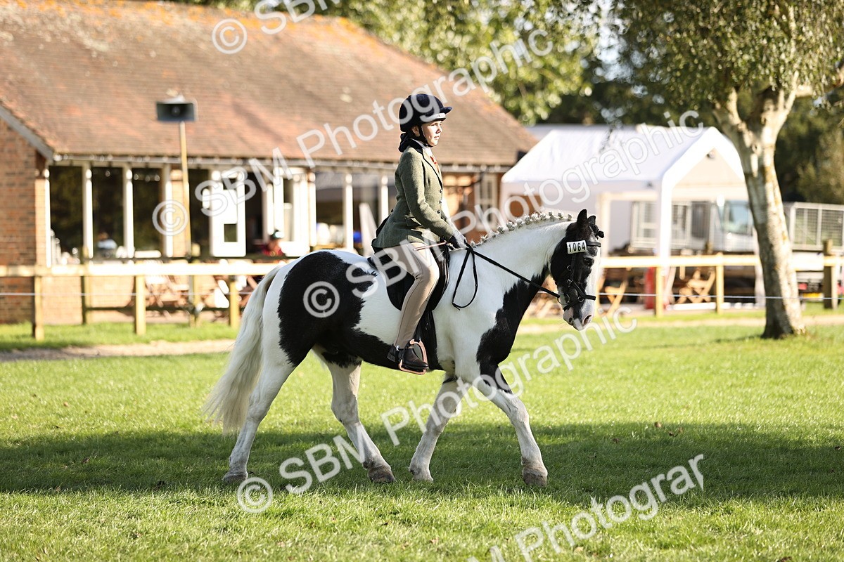 SBM_29333 - S7 - Novice & Newcomers Ridden Pony