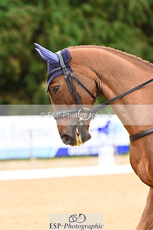 231020-153148-11855 - 213-MGH.HILDARE.HARLEQUIN-Danielle.Mccormack-DR