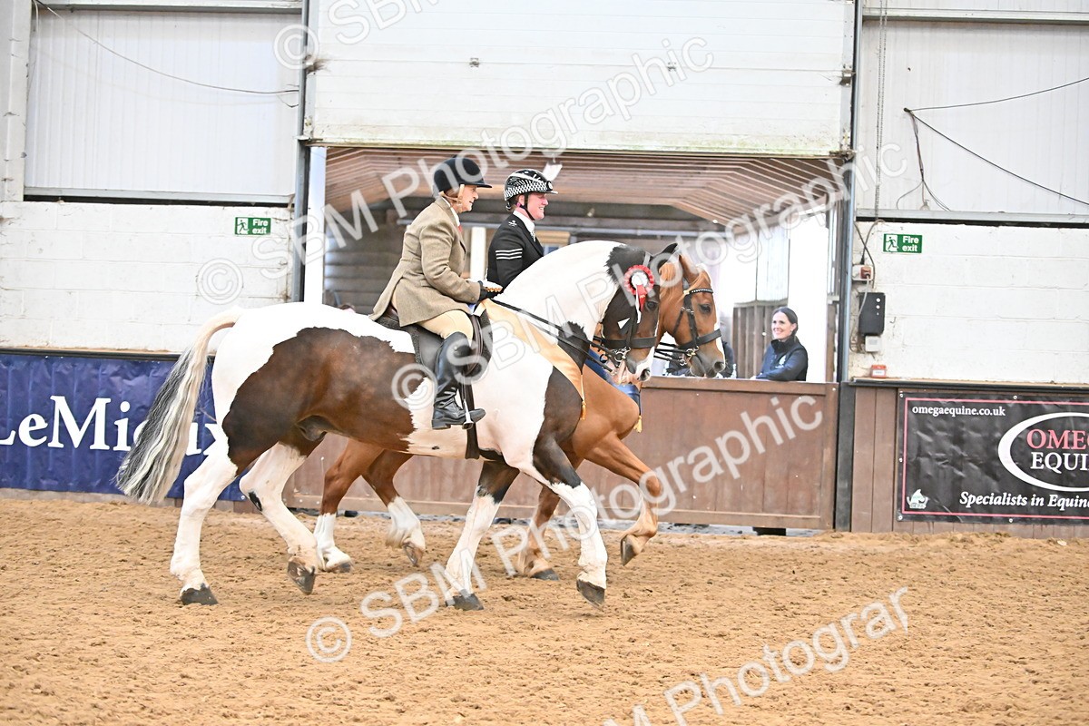 SBM_002783 - Ridden Showing Supreme Championships