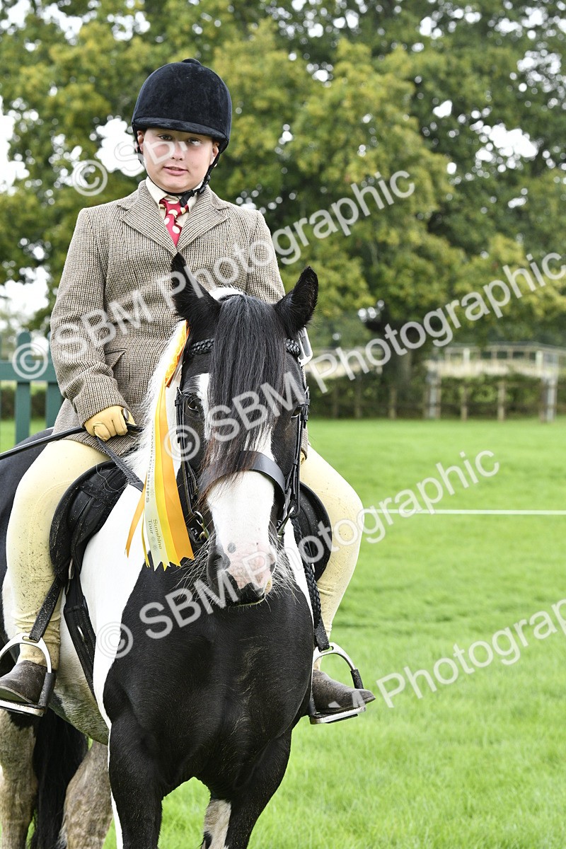 SBM_38291 - S31 - Novice & Newcomer Working Hunter Pony