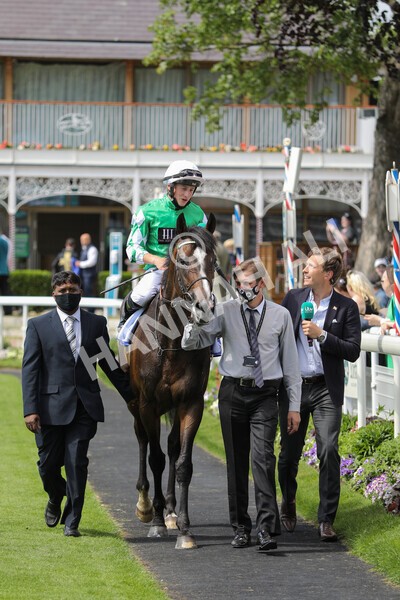 yr12062021r3-14 - Race 3 3.05pm Sky Bet Race to the Ebor Grand Cup