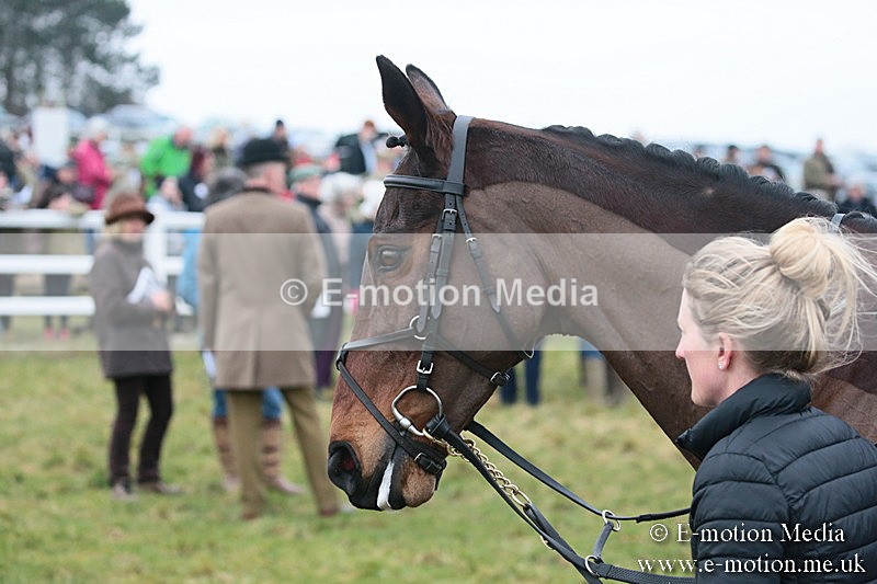 PtP 170219 -33 - Combined Services Point-To-Point Larkhill 17/02/19