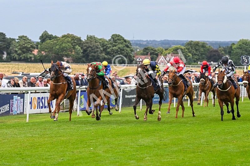 150824-Race 4-Opal Storm-8051 - Race 4