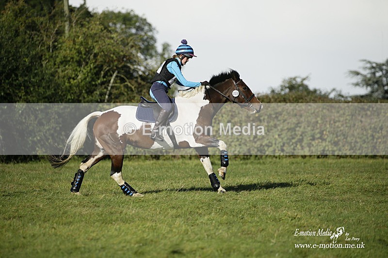 WWHT 031021 478 - Novice Restricted (0.80m) 03/10/21