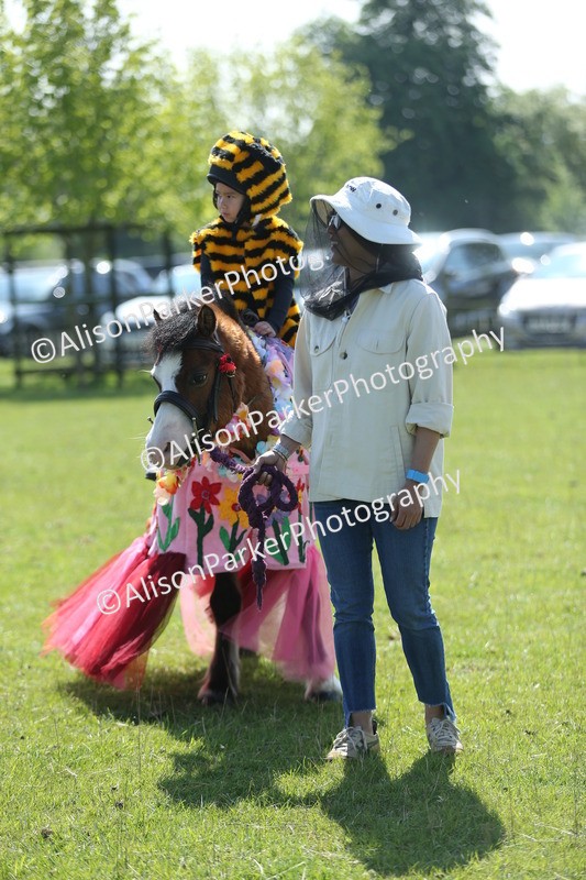 20250427-1787 - Class 5 - Fancy Dress