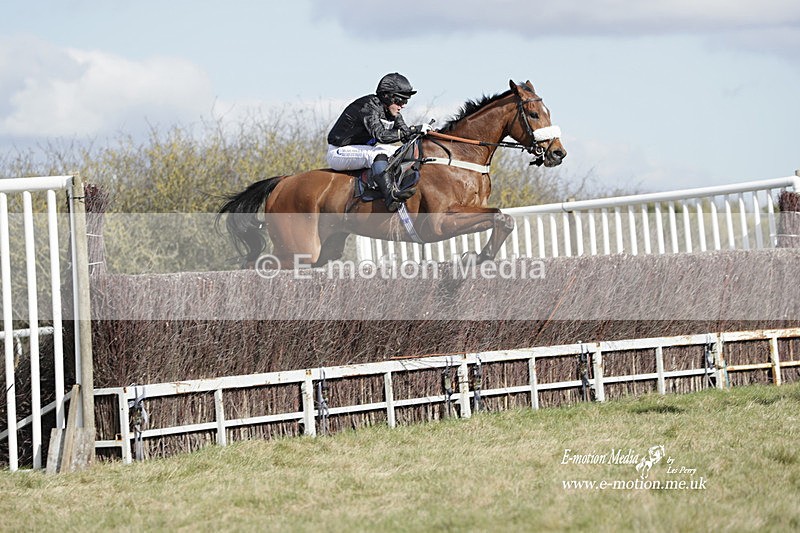 PtP 260223 456 - South & West Wilts Point-to-Point Larkhill 26/02/23
