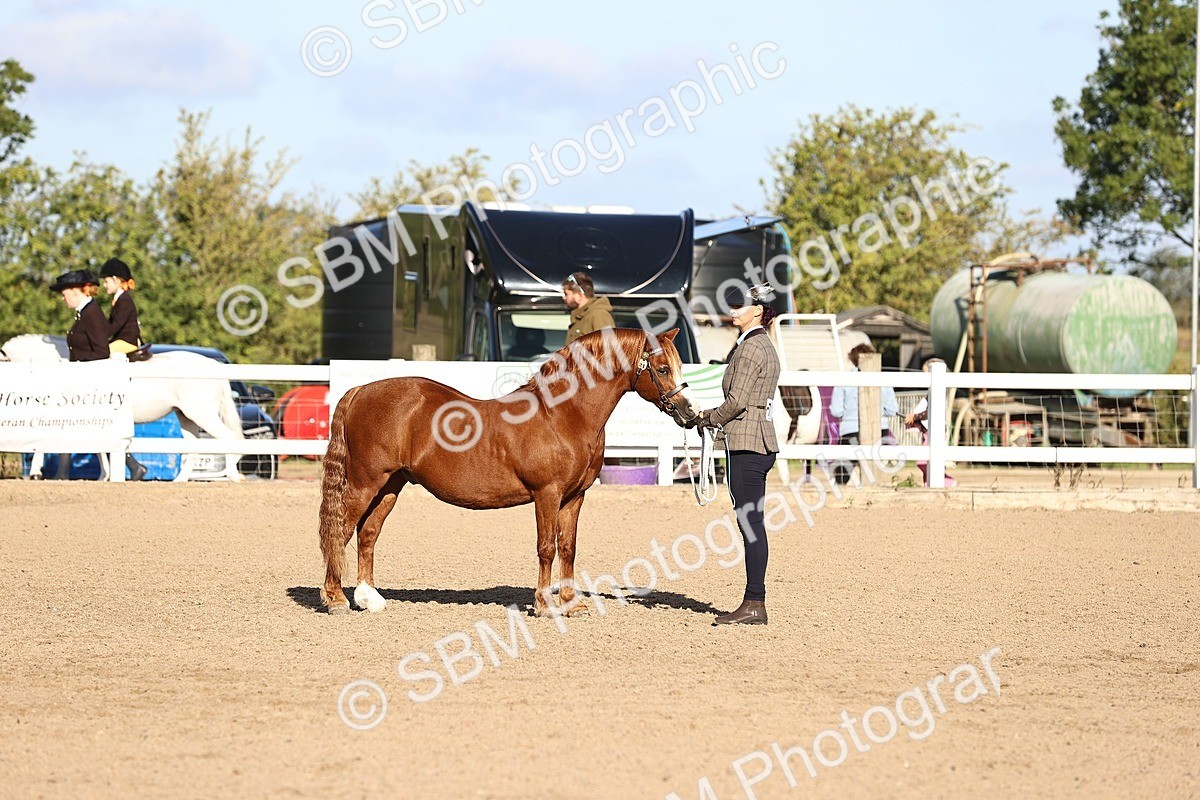 SBM_08404 - Class 402 - IH Veteran Pony
