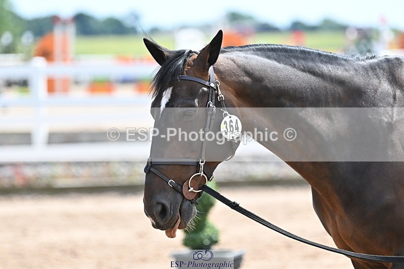 240717A-145249-02364 - Trot Up 2pm to 3pm - This folder is not in time order