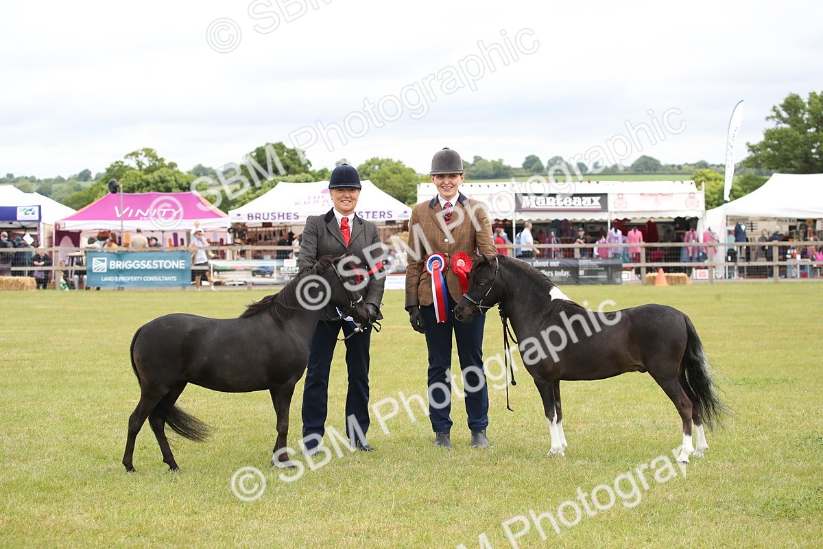 SBM_03582 - Class 23-25 - British Miniature Horse of the Year