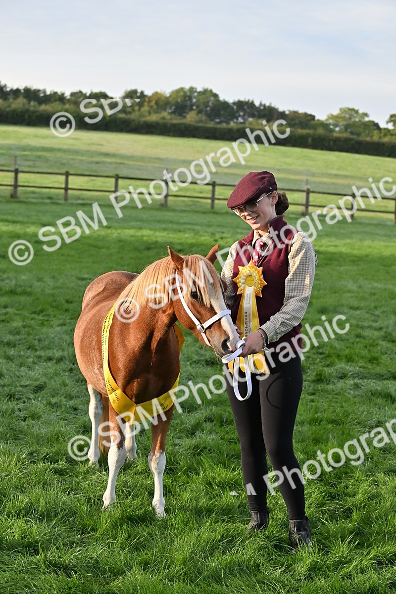 SBM_54633 - S44 - Youngstock In Hand