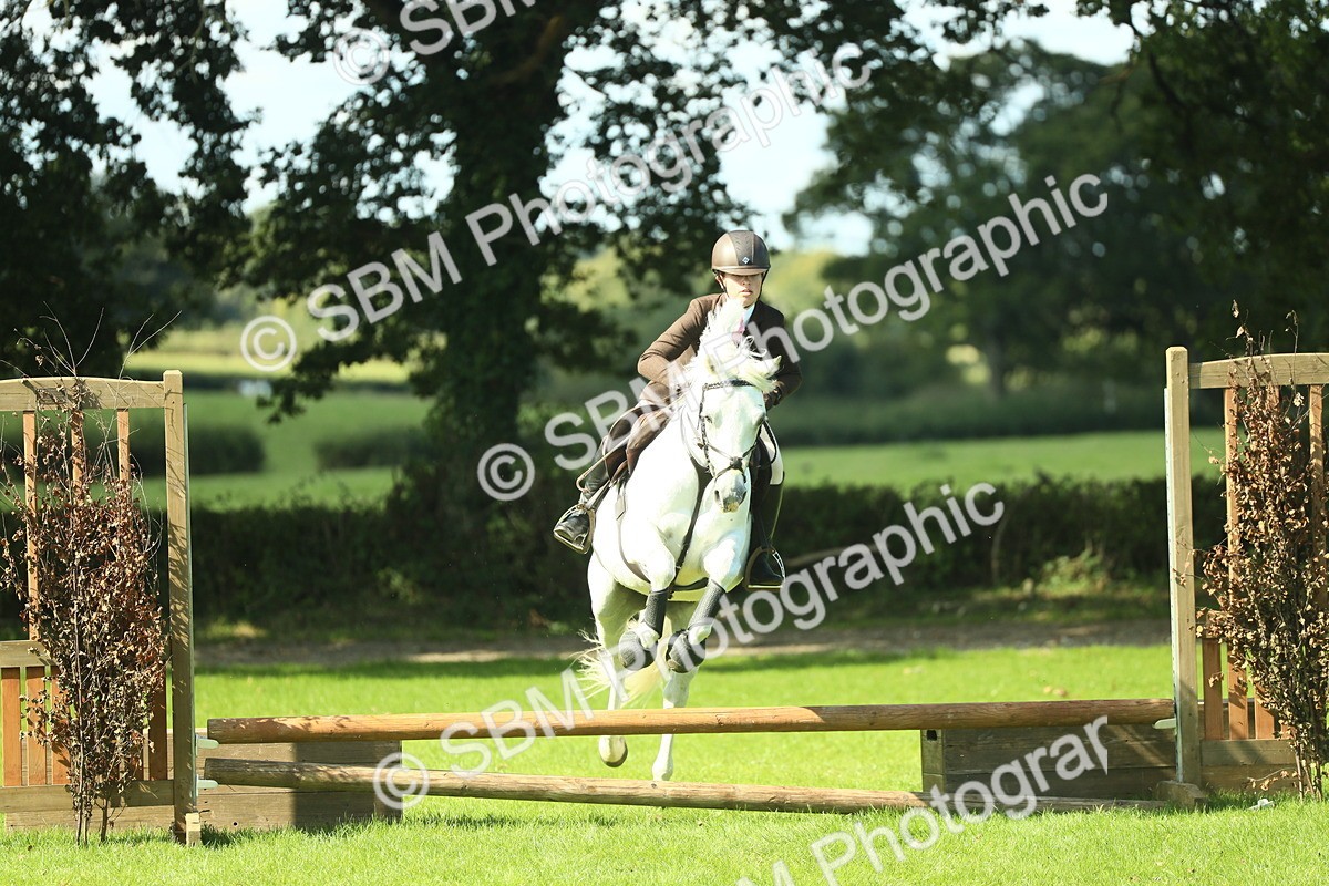 SBM_39231 - S29 - Novice & Newcomers Working Hunter Pony