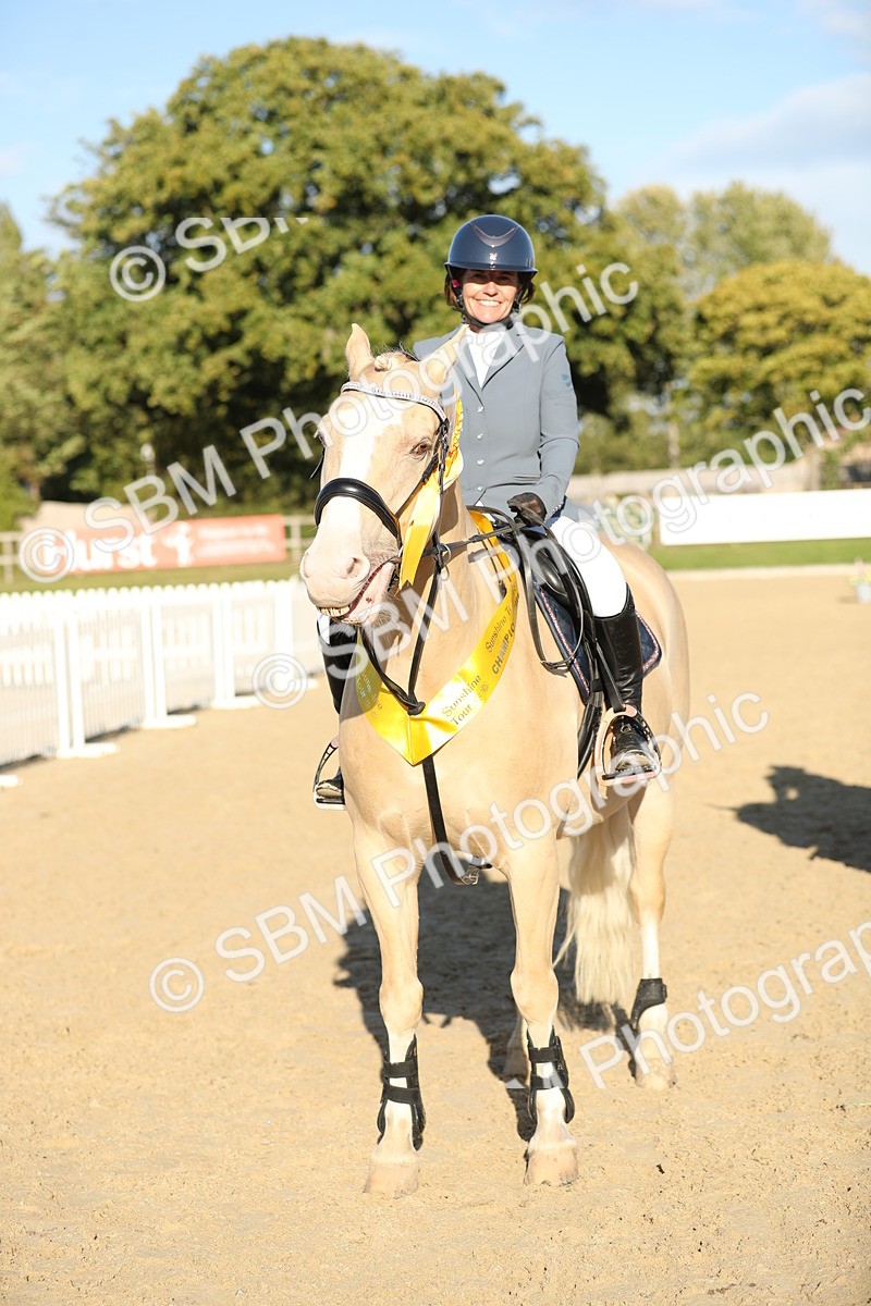 SBM_11490 - J37 - Veteran Rider 75cm