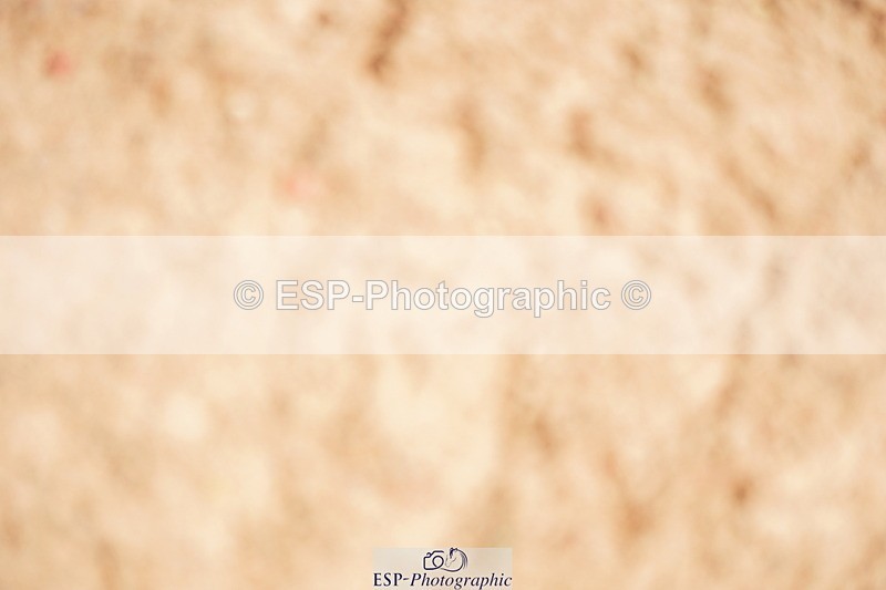 240524A-110950-03025 - Cls 14 Newcomers