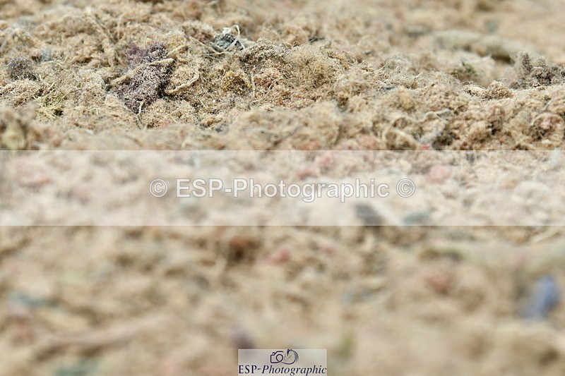 230701A-135610-06609 - Cls 10 Medium 69