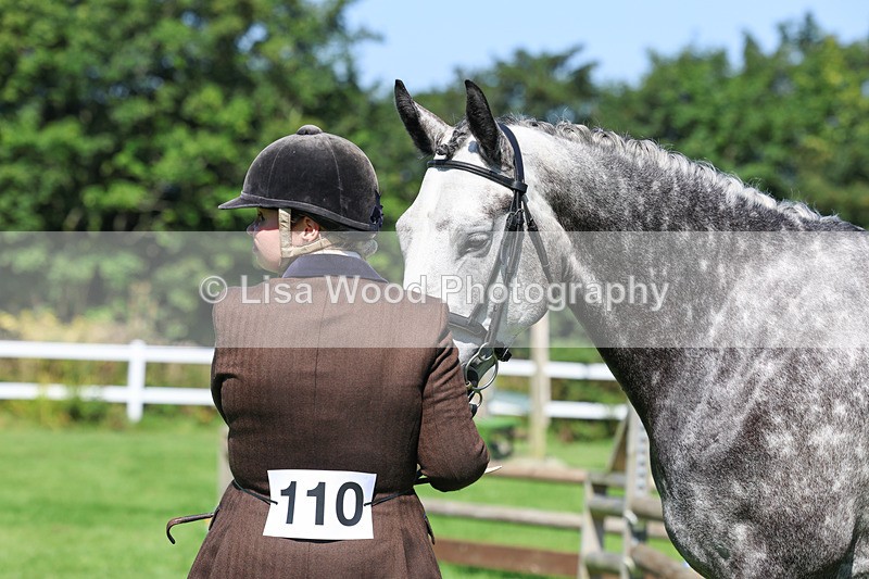 3E7A8462 - Class 4: Novice working Hunter