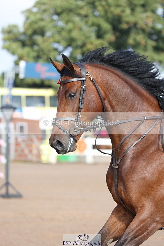 230915A-094702-01278 - Cls 1 Snr Newcomers