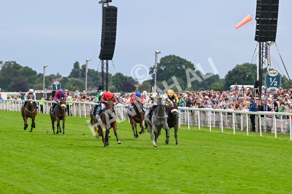 270724-Race 4-Greydreambeliever-7243 - Race 4 4.00pm Sky Bet Club EBF Fillies' Novice Stakes
