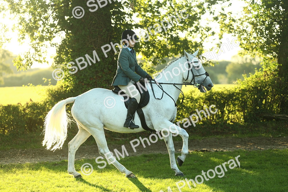 SBM_56409 - S14 - Riding Club Horse