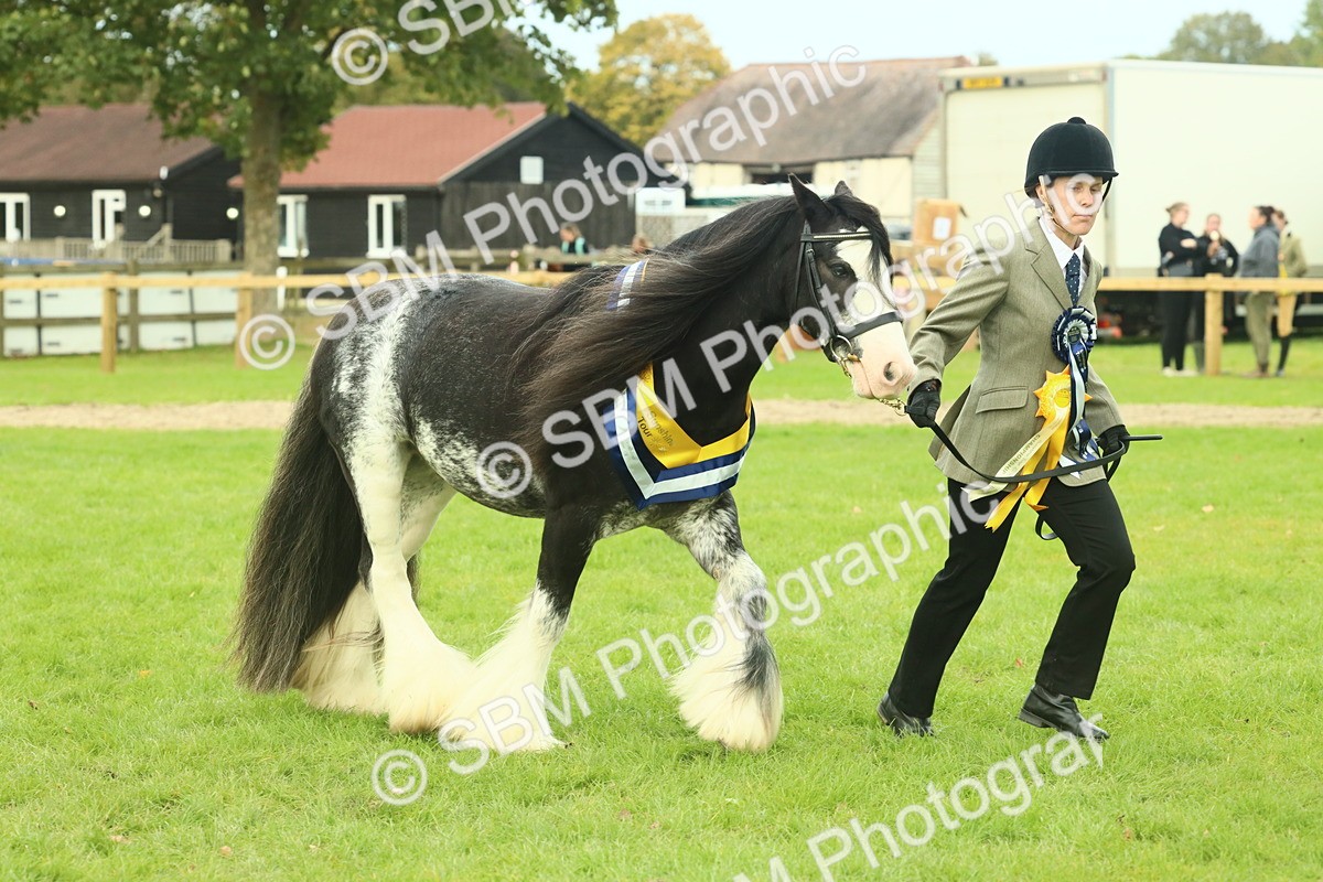 SBM_75195 - Super Supreme Championship