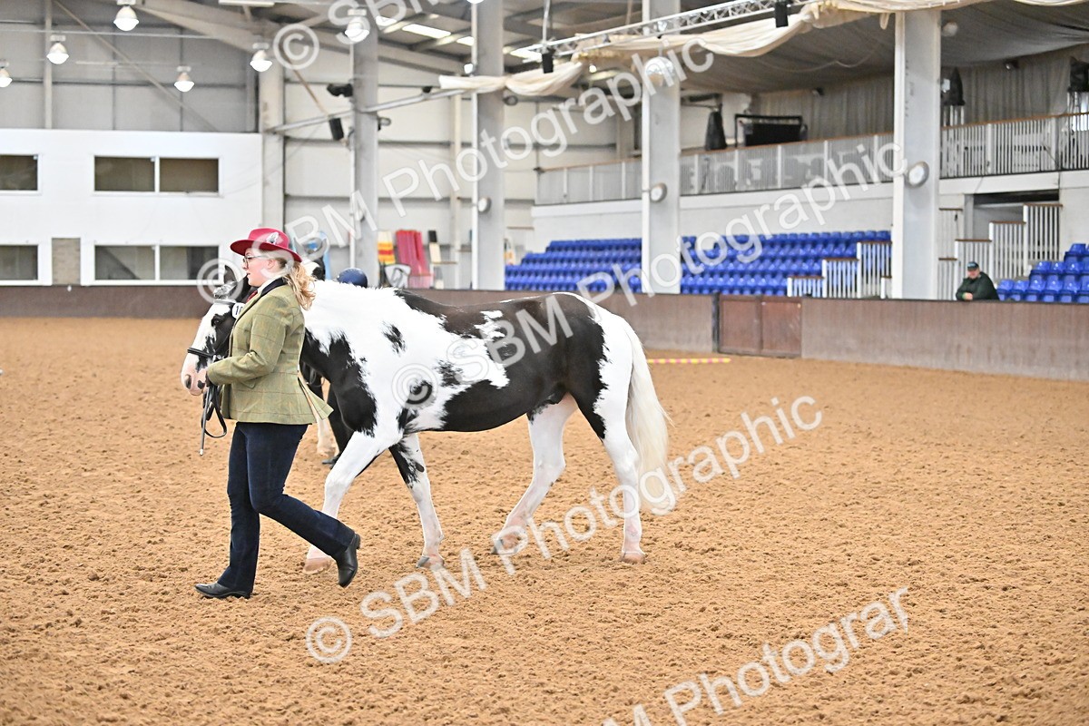 SBM_000028 - Class 1 - In Hand Cob