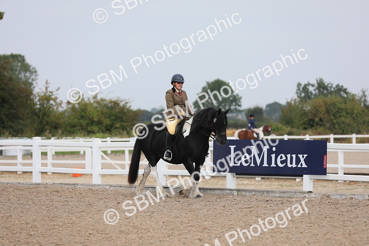 SBM_12666 - Class 307 Ridden Coloured Pony