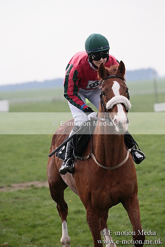 PtP 210418 243 - South & West Wilts Point-to-Point Larkhill 21/04/18