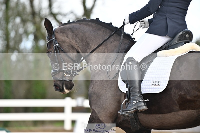 240218A-103923-05616 - 206-Sian.Axten-MSJ.Gabriella