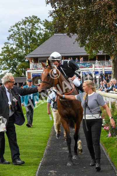 250823-Race 5-Reach-0919 - Race 5 4.10pm Assured Data Protection EBF Fillies' Handicap