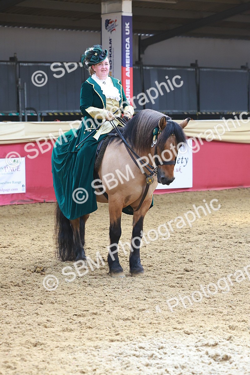 SBM_14821 - Class 108 - Ridden Costume - Astride Adult (20+)