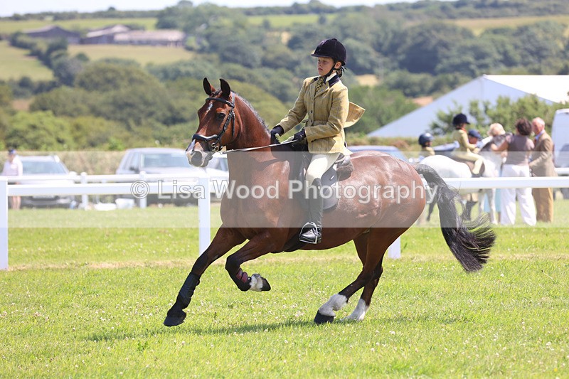 JPP_2992 - Class 22: Working Hunter 70cm