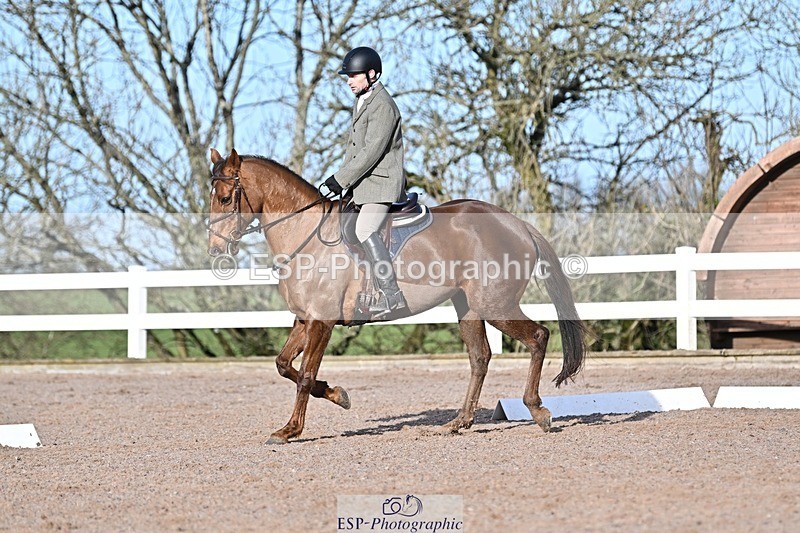250125-102436-00173 - Dressage - CT Class 4 BE95 (80cm)