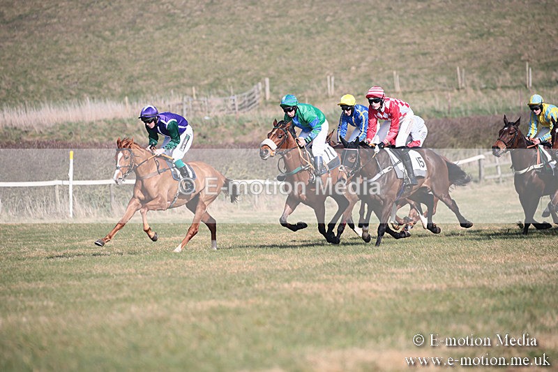 PtP 230219 220 - Vine & Craven Point-To-Point - Barbury 23/02/19