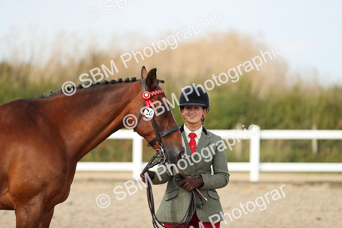 SBM_08629 - Class 28 - IH Veteran Horse