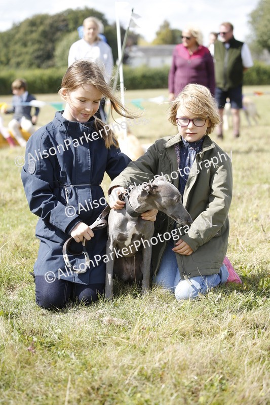 20250831-3682 - Dog Show