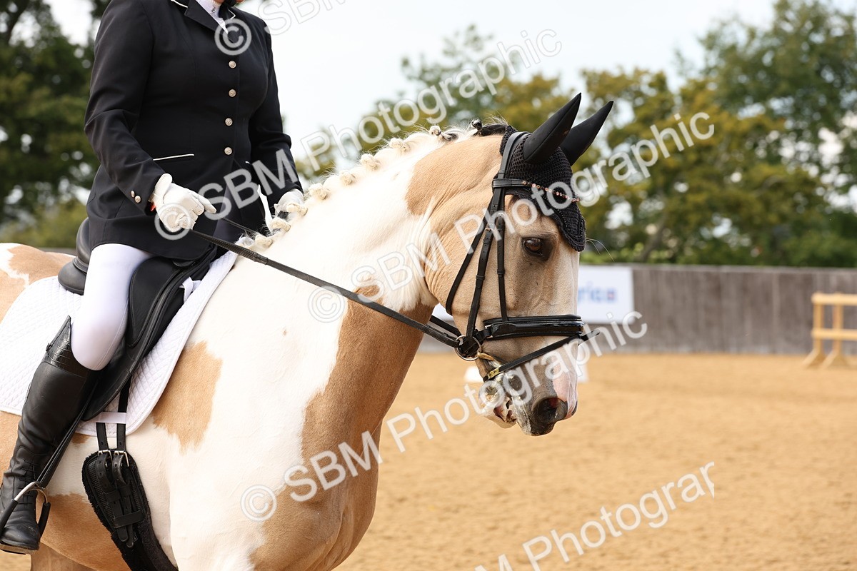 SBM_10638 - D9 - Small Tour Championship Prelim 3