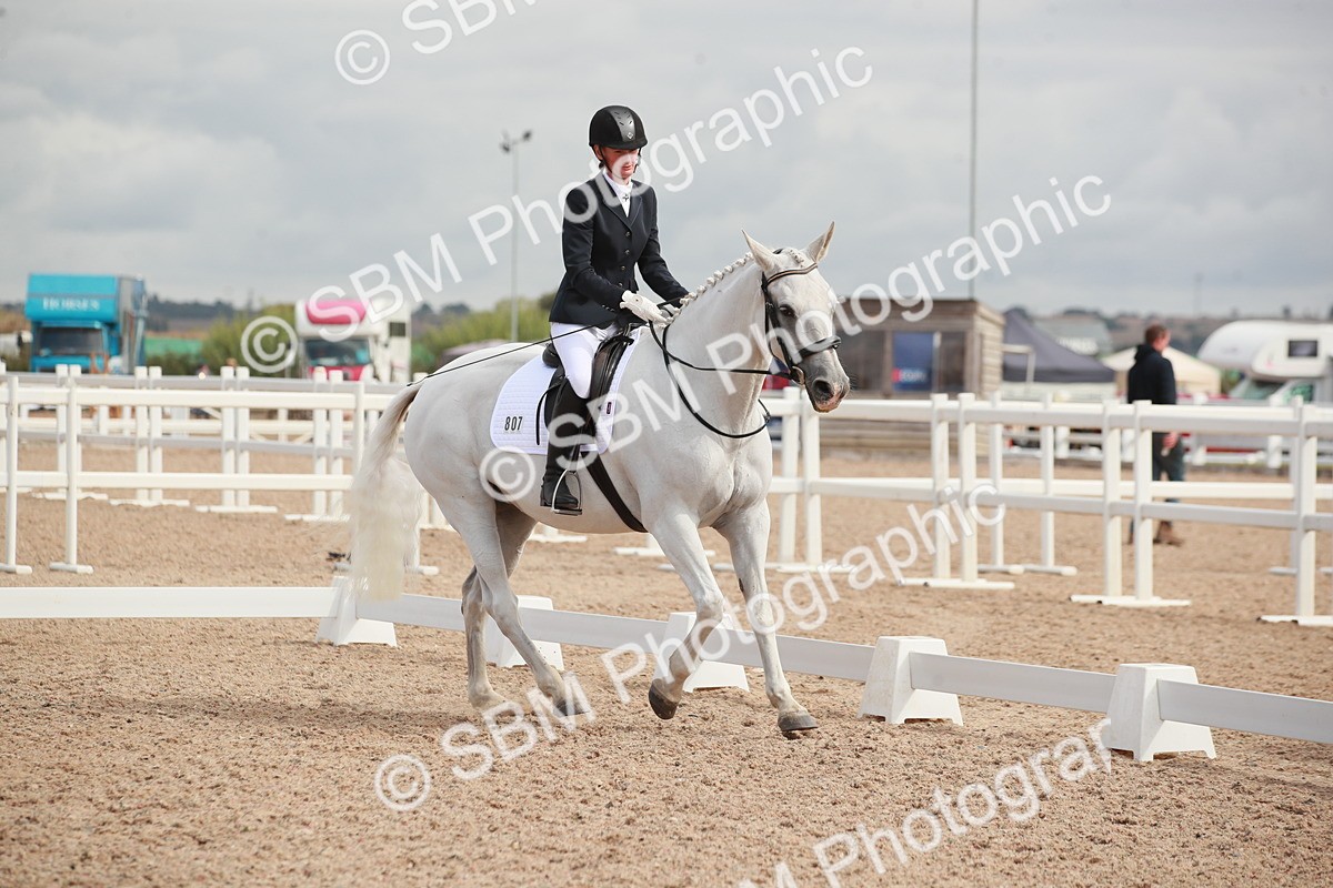 SBM_03901 - Class 31 - Prelim 1