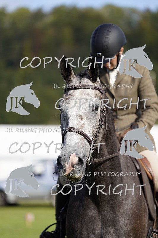 _DSC9578 - Class 8 & 17 Ridden Hunter & Ridden Hunter Pony