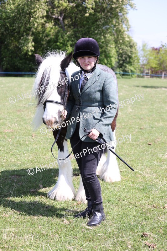 20250427-2995 - Class 27 - Coloured Horse and Pony